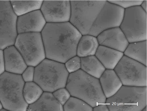 Scanning electron microscopes KYKY EM-8000. Examples of images.