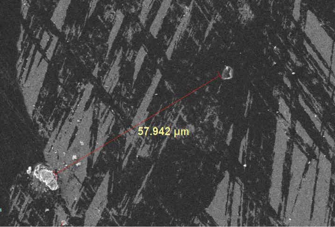 Scanning electron microscopes KYKY EM-8000. Examples of images.