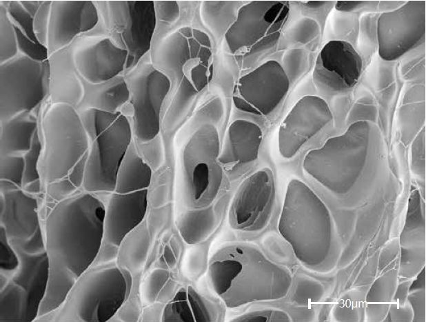 Scanning electron microscopes KYKY EM-8000. Examples of images.