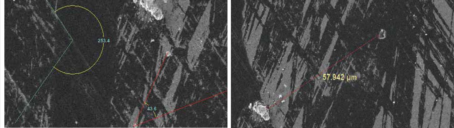 Scanning electron microscopes KYKY-EM6900. Examples of images