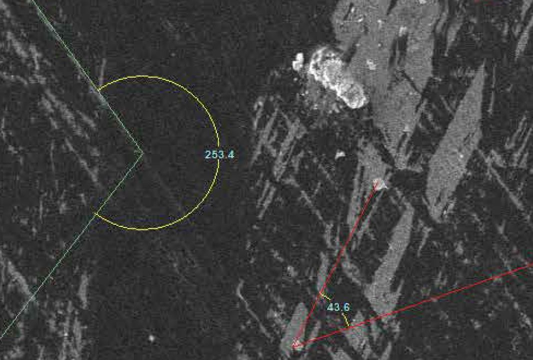 Scanning electron microscopes KYKY EM-8000. Examples of images.