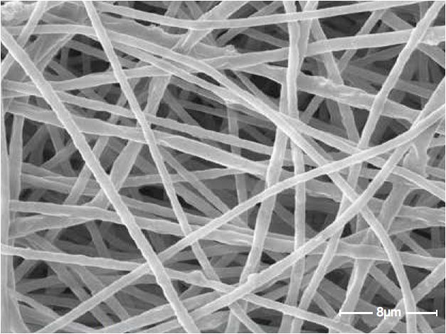 Scanning electron microscopes KYKY-EM6900. Examples of images