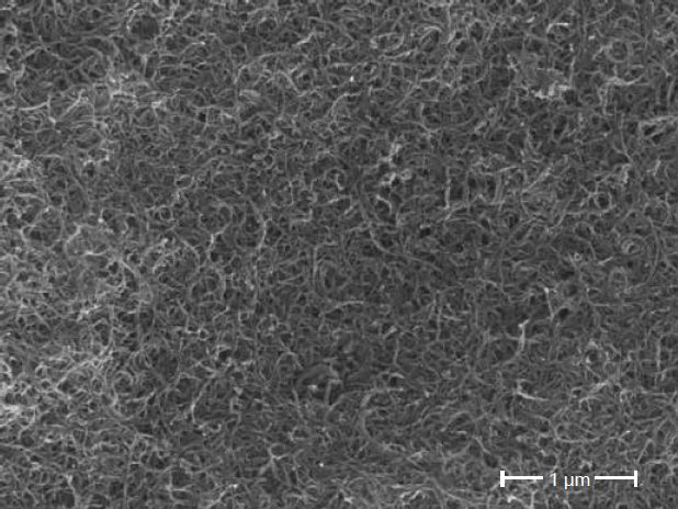 Scanning electron microscopes KYKY EM-8000. Examples of images.