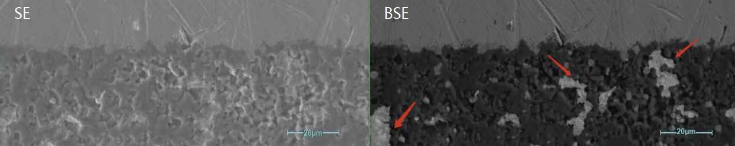 Scanning electron microscopes KYKY-EM6900. Examples of images