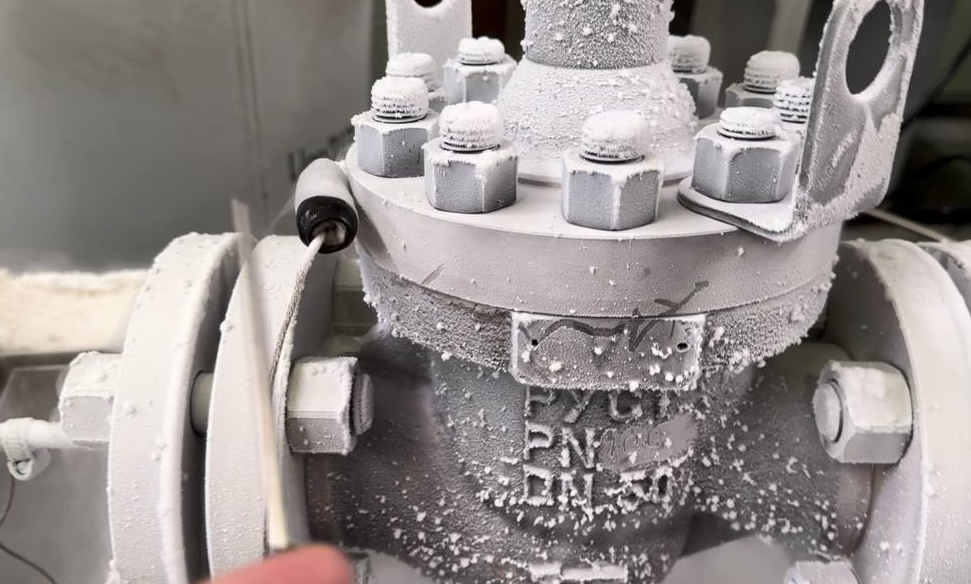 Cryogenic leak testing — LeakLab Cryogenic leak testing