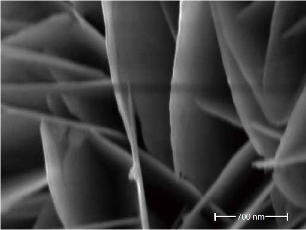 Scanning electron microscopes KYKY EM-8000. Examples of images.