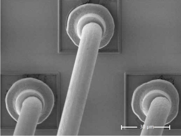 Scanning electron microscopes KYKY EM-8000. Examples of images.
