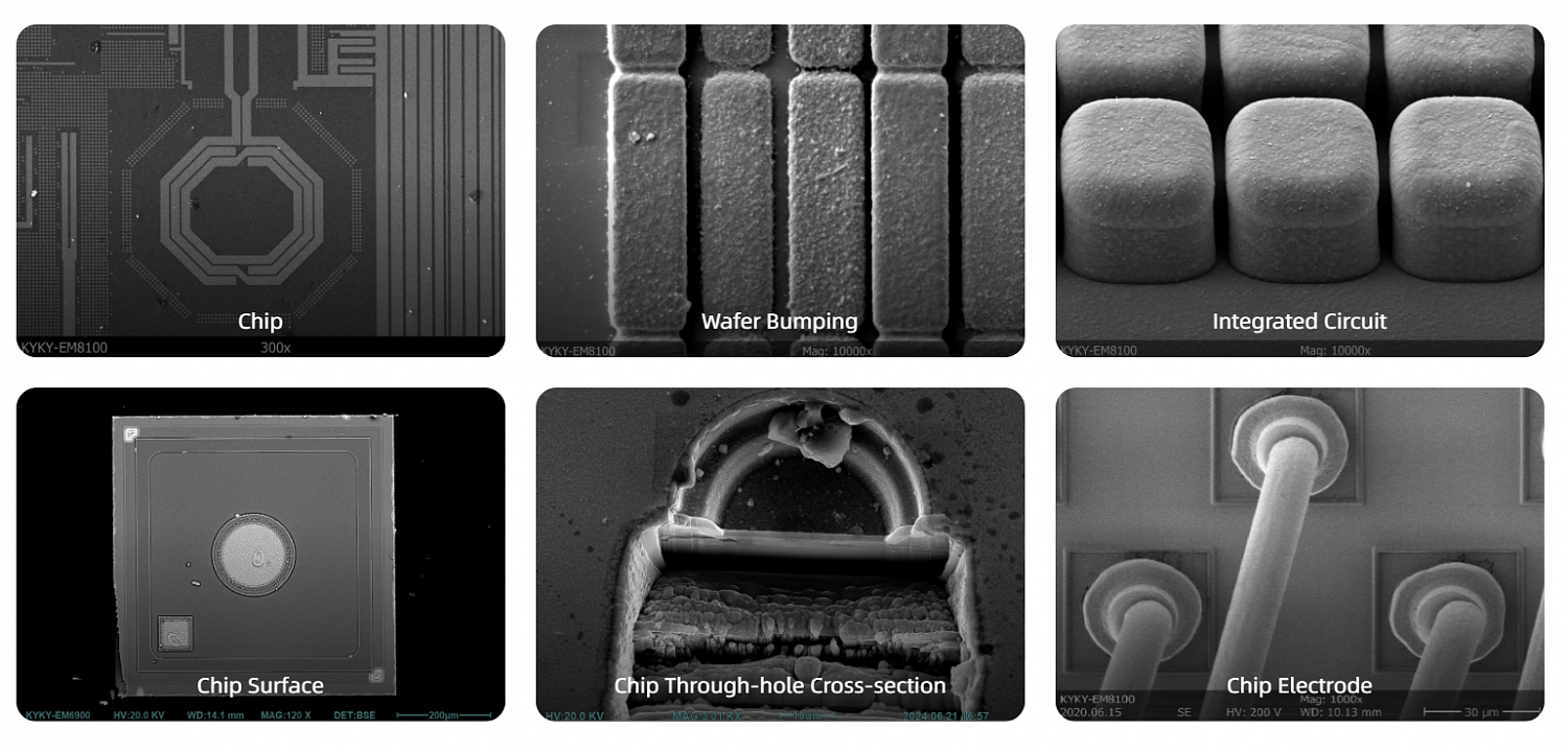 Examples of the use of scanning electron microscopes