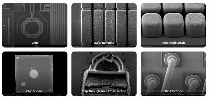 Examples of the use of scanning electron microscopes