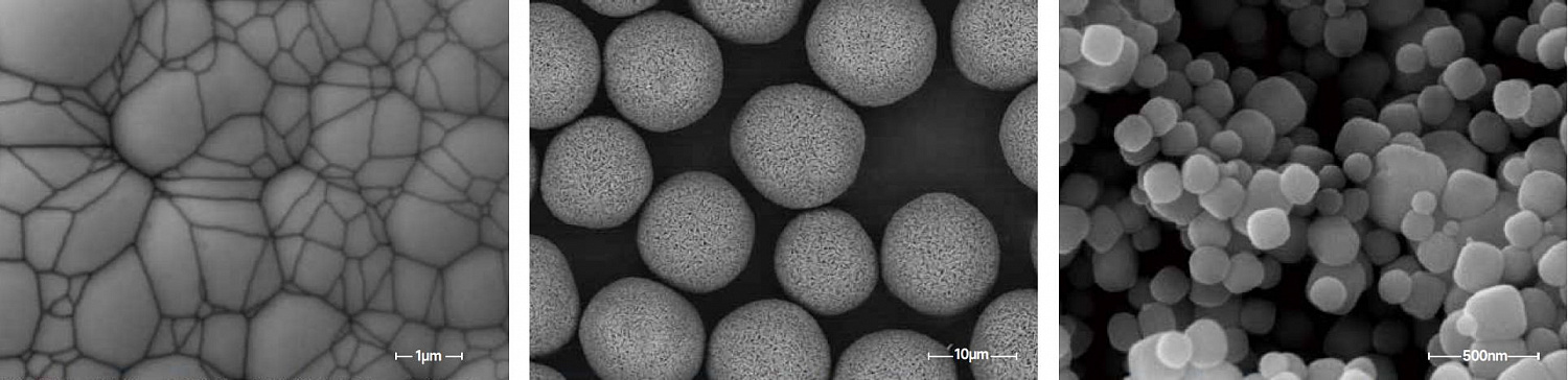 Scanning electron microscopes KYKY-EM6900. Examples of images