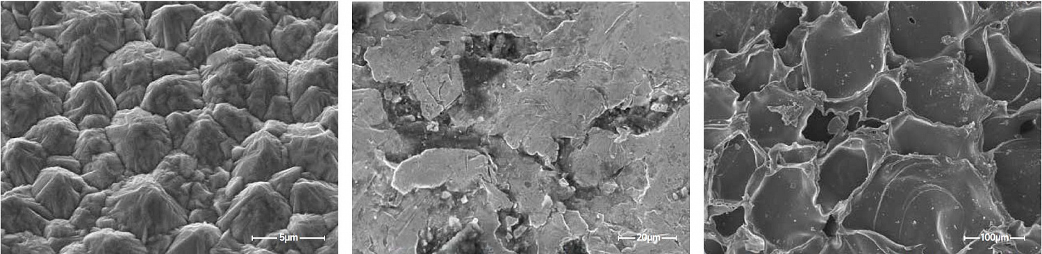 Scanning electron microscopes KYKY-EM6900. Examples of images