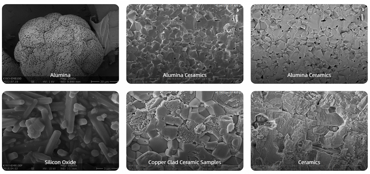 Examples of the use of scanning electron microscopes