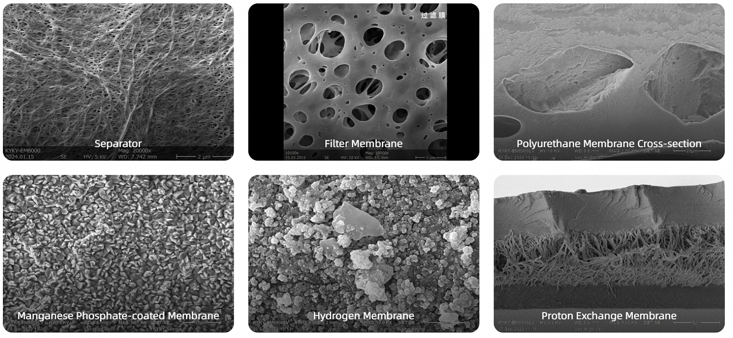 Examples of the use of scanning electron microscopes