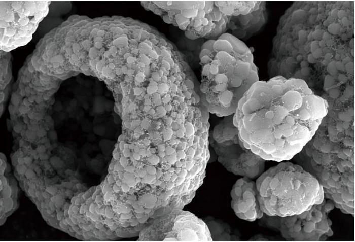 Scanning electron microscopes KYKY EM-8000. Examples of images.