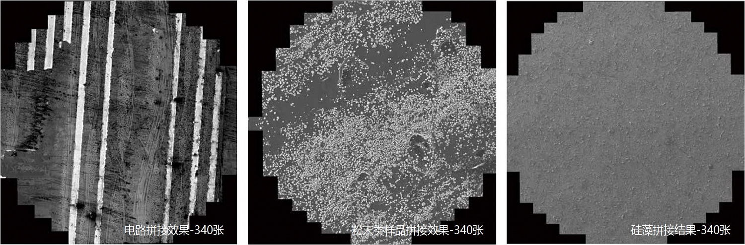 Scanning electron microscopes KYKY-EM6900. Examples of images