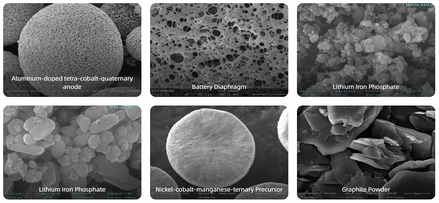 Examples of the use of scanning electron microscopes