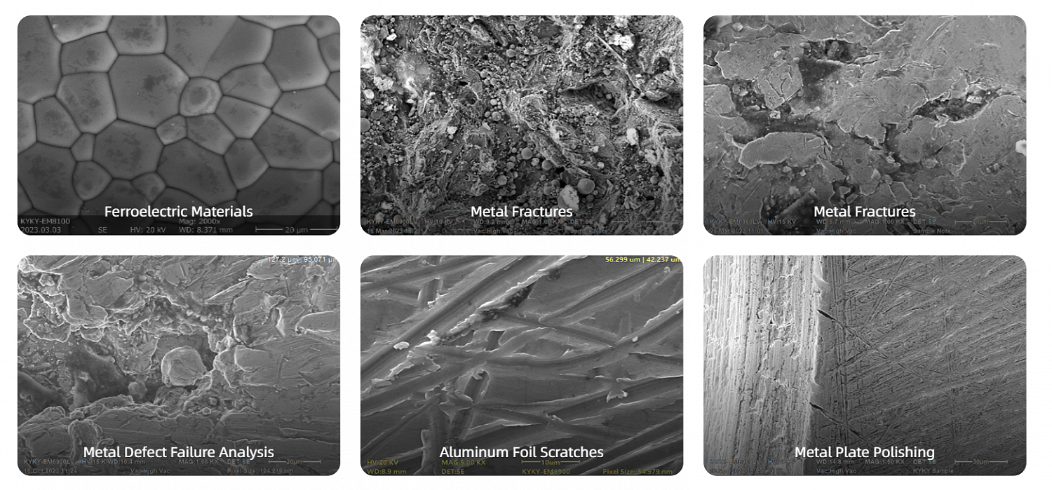 Examples of the use of scanning electron microscopes